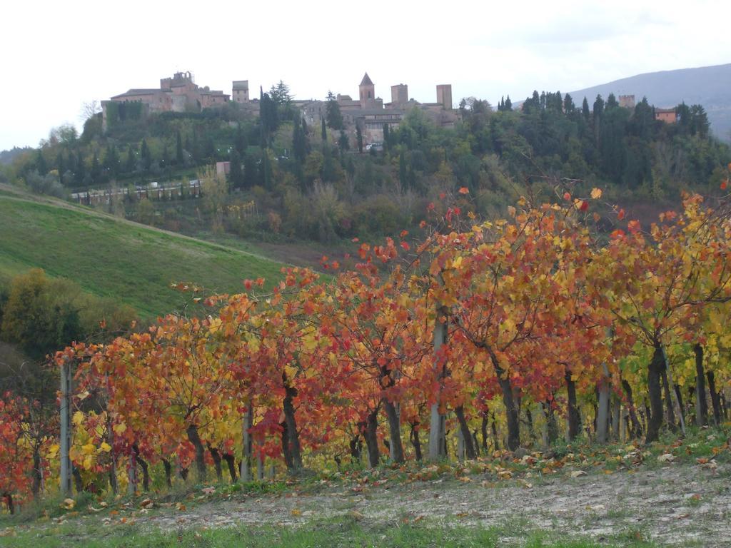 Agriturismo Il Torrione Чертальдо Экстерьер фото
