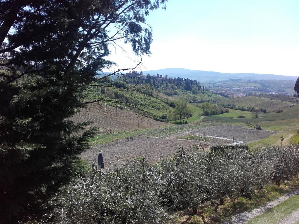 Вилла Agriturismo Il Torrione Чертальдо Экстерьер фото