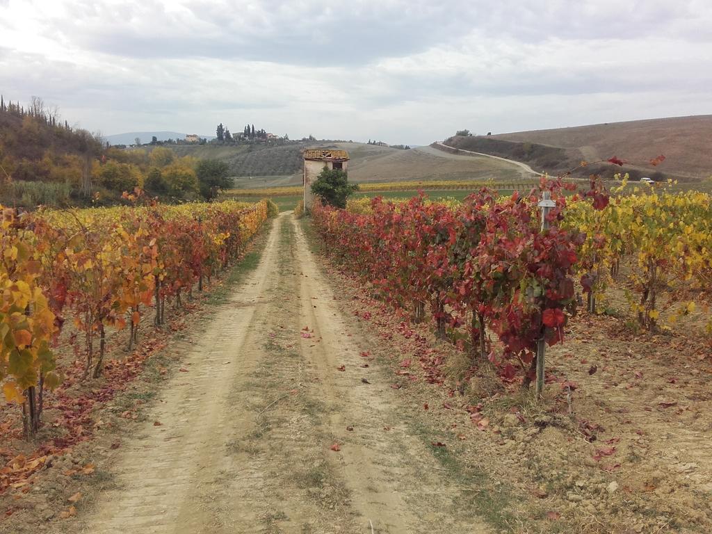 Вилла Agriturismo Il Torrione Чертальдо Экстерьер фото