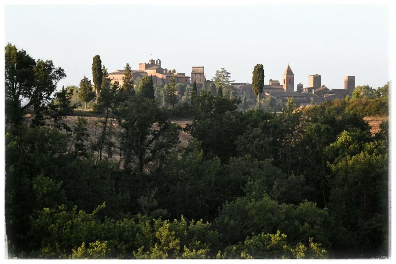 Agriturismo Il Torrione Чертальдо Экстерьер фото